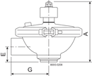 cpm-i-80000208_medium.webp