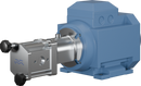 positive-displacement-pumps-m200-12-bsp-female-ssc-fpm-motor-0.25-kw-960-rpm-d80-coupling-8010030494-left_medium.webp