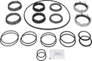 pumps-service-kit-duracirc-6263-double-seal-sicc-sicc-fpm-8010007141-content_medium.webp