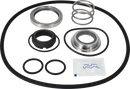 pumps-service-kit-fep-lkh-253545-csic-flushed-shaft-seal.-9611922189-content_medium.webp