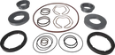 pumps-service-kit-scpp2-scpp2045-134-double-seal-sicsic-sicc-fpm-9639203044-content_medium.webp