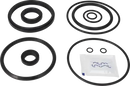 valves-service-kit-epdm-unique-double-seat-63.5-76dn65-80-plug-set-up-3-and-16-9611921599-content_medium.webp