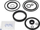 valves-service-kit-epdm-unique-to-51dn50-tank-flange-valve-plug-set-up-6-9611926449-content_medium.webp