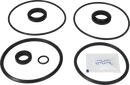 valves-service-kit-fpm-unique-double-seat-101.6dn100-plug-set-up-9-9611926364-content_medium.webp