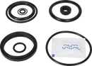 valves-service-kit-fpm-unique-to-51dn50-stub-flange-valve-plug-set-up-12-9611926467-content_medium.webp