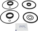 valves-service-kit-hnbr-unique-double-seat-63.5-76dn65-80-plug-set-up-1-and-15-9611921570-content_medium.webp