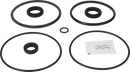 valves-service-kit-nbr-unique-double-seat-101.6dn100-plug-set-up-9-9611921753-content_medium.webp