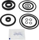 valves-service-kit-nbr-unique-double-seat-51dn50-plug-set-up-5-and-8-9611921653-content_medium.webp