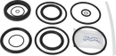 valves-service-kit-unique-mixproof-cip-fpm-iso-51dn50-8010026159-content_medium.webp