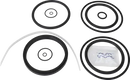 valves-service-kit-unique-mixproof-cip-type-20-and-30-fpm-iso-76-1dn80-8010026177-content_medium.webp